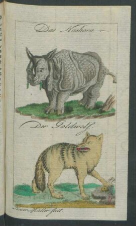 Das Nashorn. Der Goldwolf