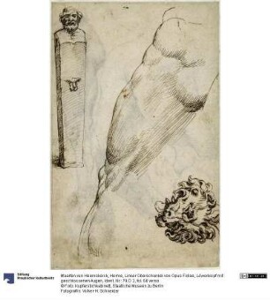 Herme, Linker Oberschenkel von Opus Fidiae, Löwenkopf mit geschlossenen Augen
