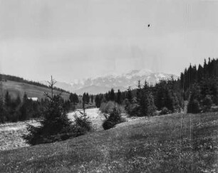 Bewaldeter Hang : Blick über eine Landschaft mit bewaldeten Hängen. Im Hintergrund verschneite Berge