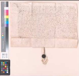 Revers Dietrich von Wilich als Amtmann zu Bislich, Haffen und Mehr. d. Freitag nach assumt. B. M.