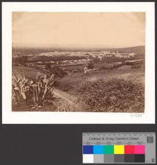 Vue de Blida