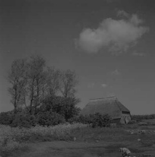 Ummanz-Waase-Wusse. Fischerbauernkate
