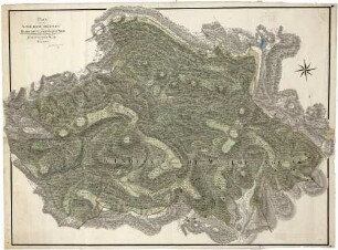 Plan über die Windeckische Waldungen und den herrschafftlichen Lehen-Wald, soweit nemlich dieser zu dem Oberforstamte Rastatt gehört, ferner den bey der Herrenwies liegenden Baerensteiner Wald und den Seekopf