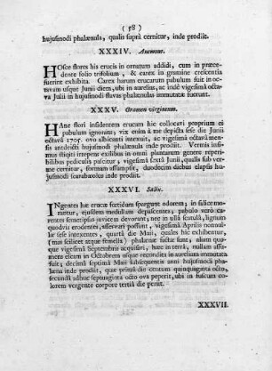 XXXVI. Salix
