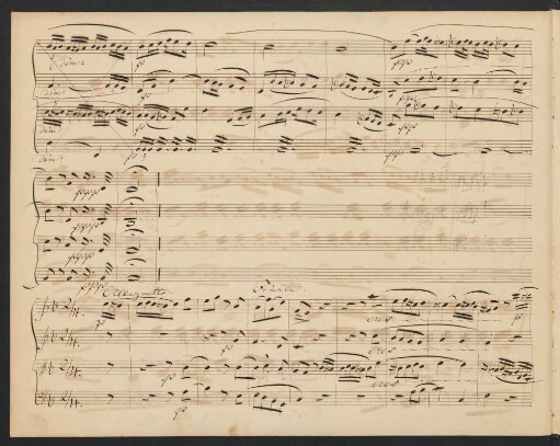 Finale. Allegretto