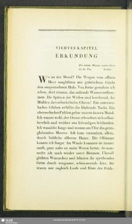 Viertes Kapitel: Erkundung
