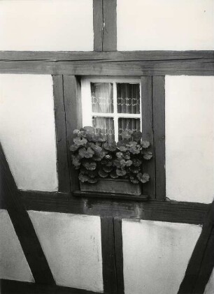 Fenster eines Fachwerkhauses in Meersburg