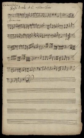 Basso di Viola