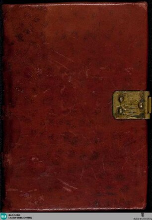 Lateinisches Stundenbuch - Cod. St. Peter perg. 118