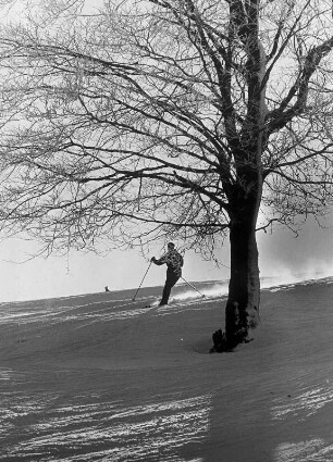 Der Harz im Winter. Ein Skifahrer fährt einen Hang hinunter