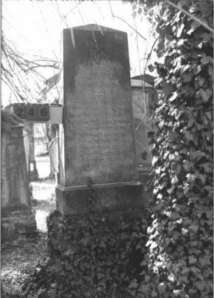 Grabstein 246 (Index: 99786865) Maße HxBxT: 182x59x26 cm Symbolik: geknickte Rose Besonderheit: kulturhistorisch wertvoll / hist.-wiss. und künstl.-formale Gründe (Gemeindestellung, Inschrift): Grabstein 246
