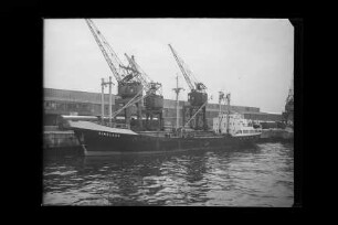 Dinklage (1957), Frachtschiff, Krohn, Lübeck, Bau-Nr. 588