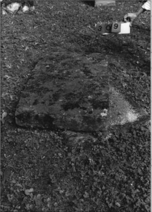 Grabstein 309