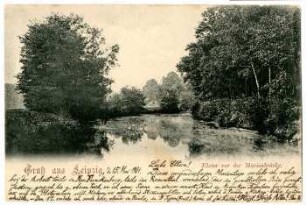 Gruss aus Leipzig: Elster vor der Marienbrücke