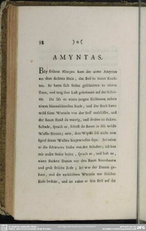 Amyntas