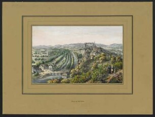 Tübingen. Ansicht von Osten : Kolorierte Lithographie