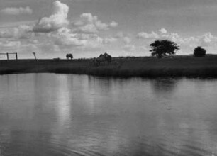 Die Treene an der Fresendelfer Fähre, Schlei- und Eidermündung