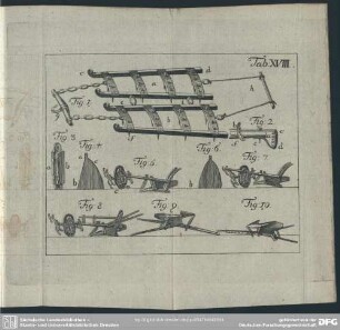 Tab. XVIII