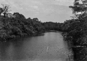 Der Rio Miranda : Der Fluss Rio Miranda und ein am Ufer wachsender Galeriewald.