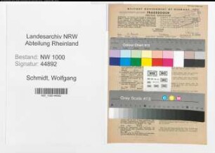Entnazifizierung Wolfgang Schmidt, geb. 13.05.1914 (Geologe)