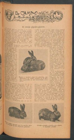 El conejo gigante picardo : El campo y la chacra