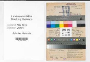 Entnazifizierung Heinrich Schulte , geb. 24.05.1902 (Schlosser)