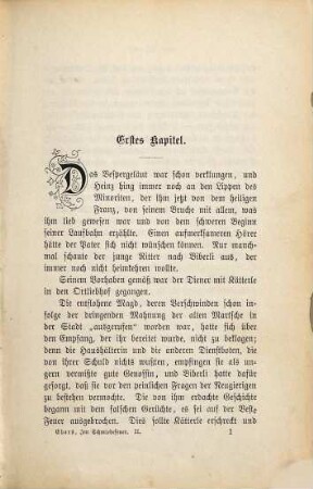 Im Schmiedefeuer : Roman aus dem alten Nürnberg, 2