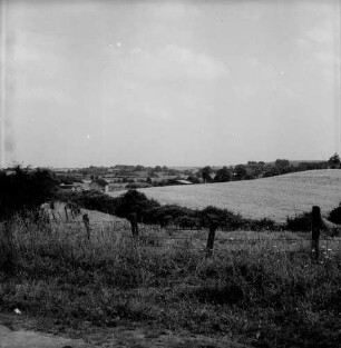 Groß Barnitz: vorn Zaun: dahinter Knicklandschaft mit Weiden und Büschen