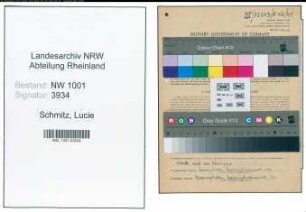 Entnazifizierung Lucie Schmitz, geb. 19.05.1920 (Bibliothekarin)
