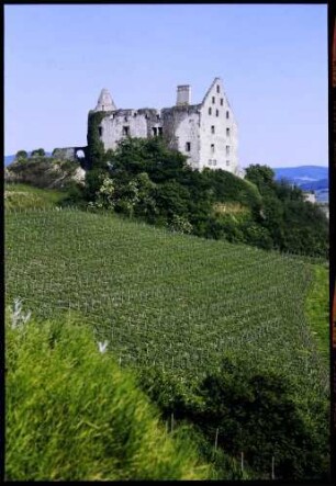 Burkheim: Schwendi-Schlossruine