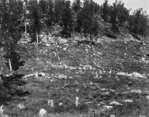 Landschaft mit Wald : Aufnahme einer Landschaft mit Wald im Hintergrund. Vermutlich eine Moränenlandschaft
