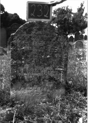 Grabstein 232 (Index: 100103268) Material: Sandstein Zustand: stark verwittert, weitgehender Textverlust Maße HxBxT: 87x58x10 cm Beschreibung: Stele, Konvexbogenabschluss, Schriftfeld eingetieft: Grabstein 232