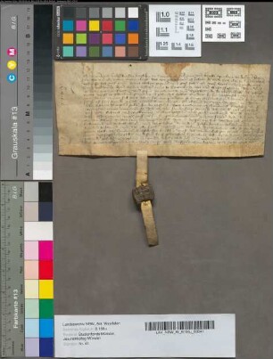 Litterae cerocensuales [der Kreuzkirche zu Stromberg].