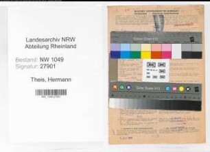 Entnazifizierung Hermann Theis , geb. 02.09.1899 (Feuerwehrmann)