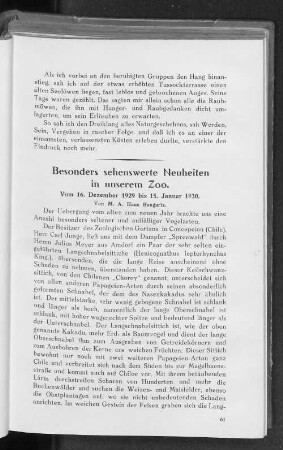 Besonders sehenswerte Neuheiten aus unserem Zoo.