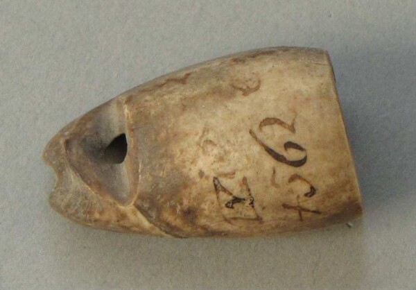 Shell jewellery (fragment)