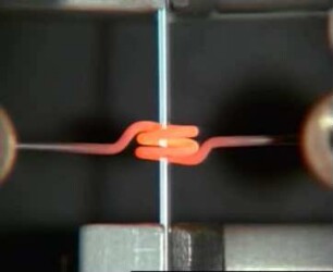 Interzelluläre Kommunikation über Gap junctions