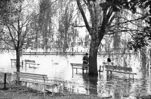 Sipplingen: Überschwemmtes Ufer in Sipplingen