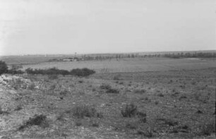 Landschaft mit Feldern : Blick über eine Ebene mit Feldern