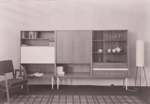 Kombinierter Geschirr- und Bücherschrank (Industrieform)