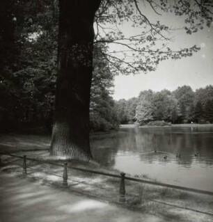 Dresden. Großer Garten. Neuteich