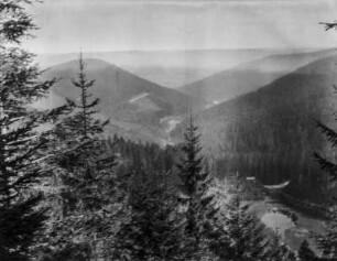 Waldlandschaft : Blick über eine bewaldete Landschaft
