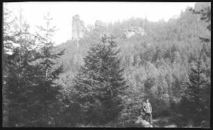 Gohrisch. Felspartie am Papststein