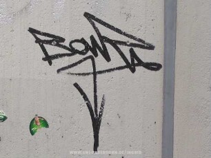BonZ
