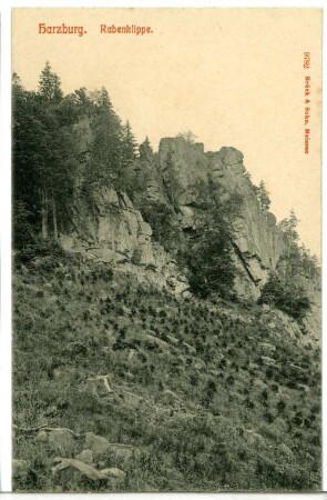 Bad Harzburg. Rabenklippe