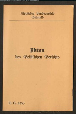 Friedrich Hinner aus Vahlhausen gegen seinen Vater, den Kolon Hinner Nr. 4 Vahlhausen und desgleichen Johanne Meyerjohann (Meier) in Vahlhausen gegen Friedrich Hinner, wegen einer Ehesache