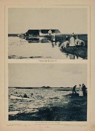 Friesischer Bauernhof, Hallig