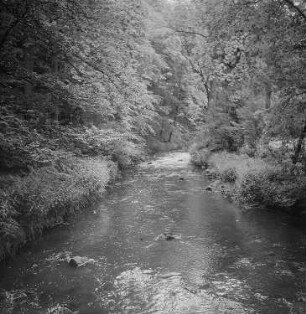 Seifersdorfer Tal