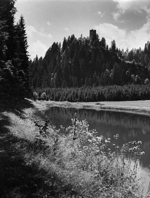 Liebenfels-Hochliebenfels. Landschaft mit Burgruine (1333)