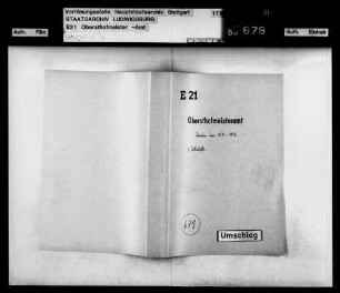 Diarien (Tagebücher)